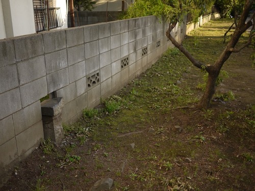 P1080487.jpg