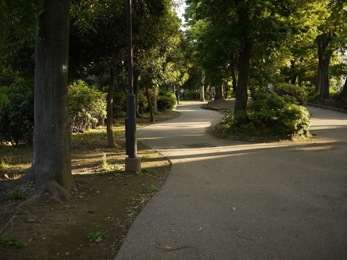 P1080488.jpg